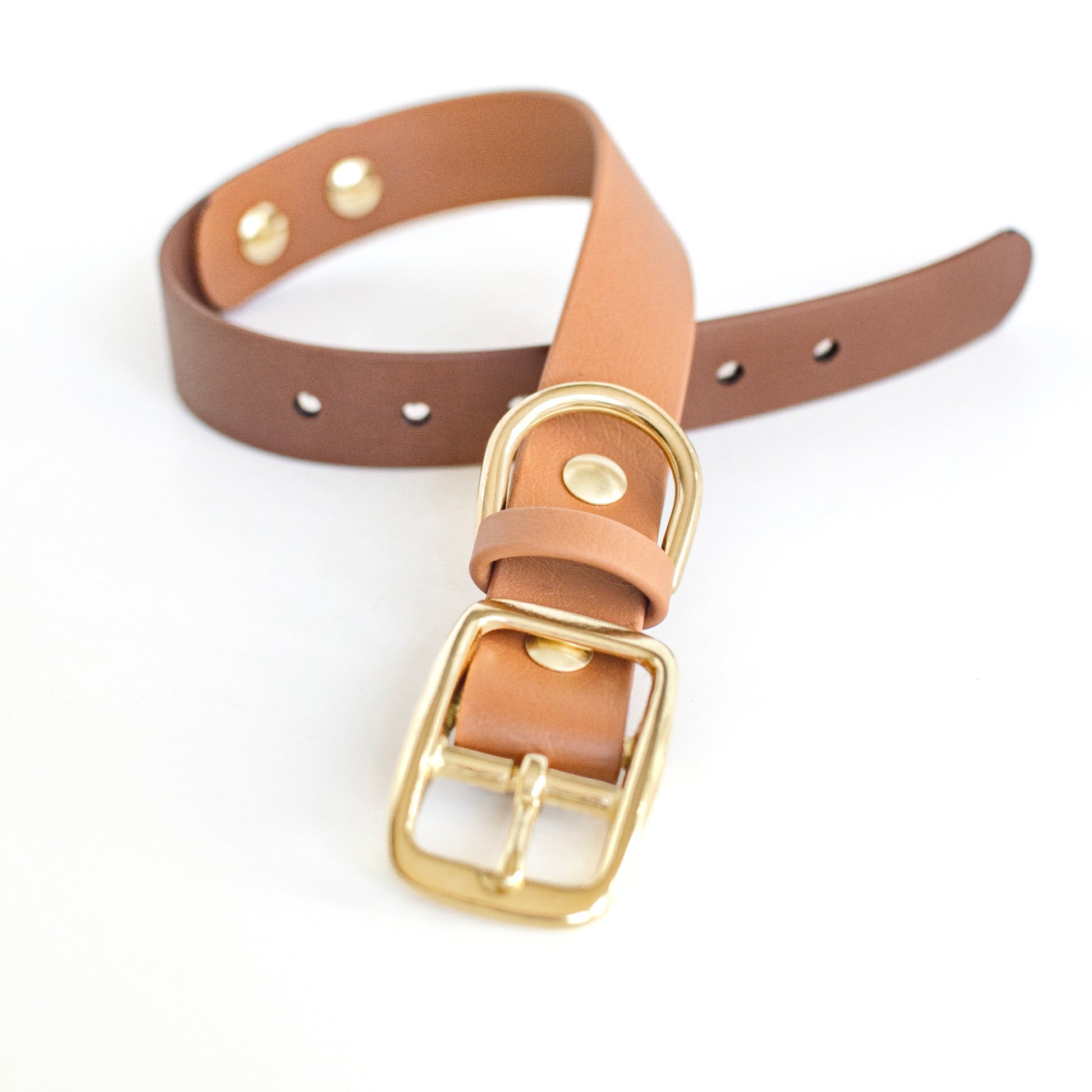 Wanderlust Pup Co Waterproof Odourproof Biothane Dog Collar. Handmade in British Columbia, Canada.