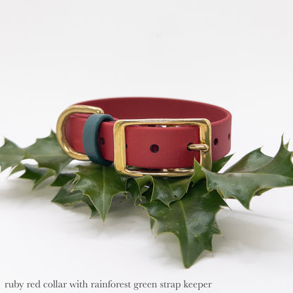 Ruby red dog collar with gold buckle on green holly leaves for christmas