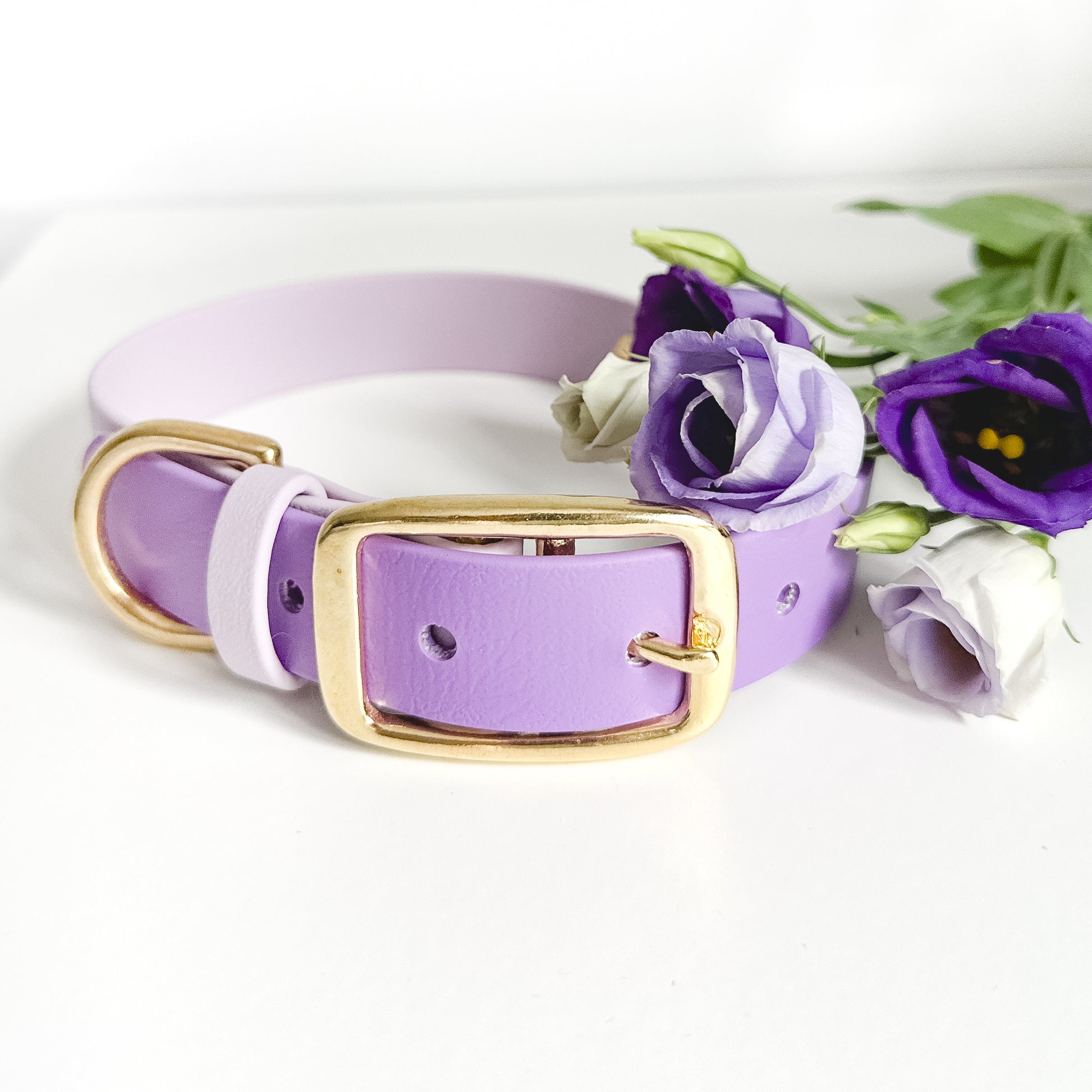 Wanderlust Pup Co Biothane Dog Collar. Waterproof and Odourproof dog collar. Handmade on Vancouver Island, British Columbia, Canada