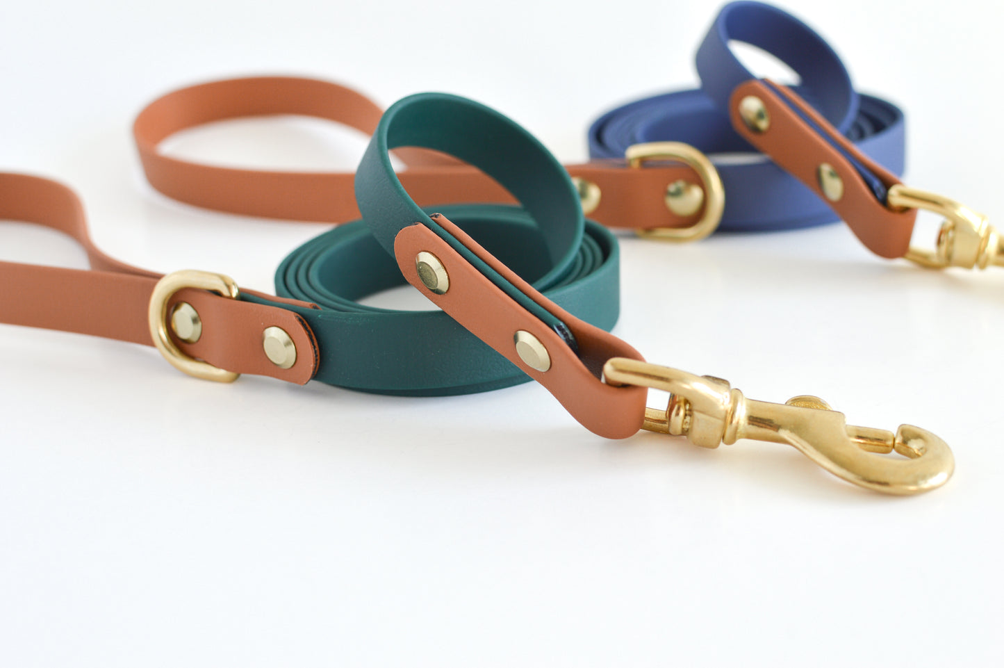 Two-Tone Biothane Dog Leash