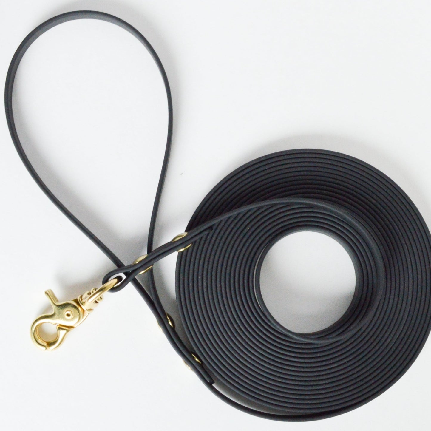 Longline Training Leash - Wanderlust Pup Co. Handmade of biothane and solid brass hardware